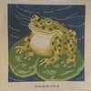 Frog Cushion (big gauge)