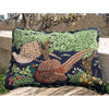 Pheasants Pheasants