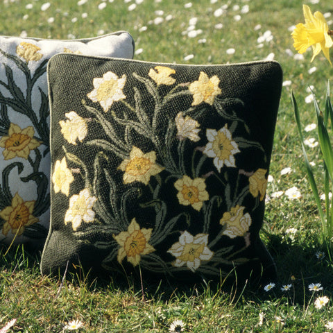 Daffodils (dark background)