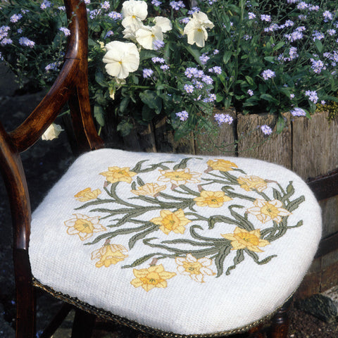 Daffodils (pastel background)