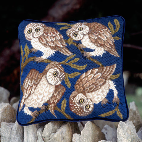 Owls