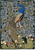Peacock Peacock